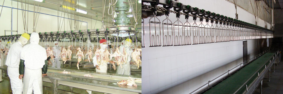 家禽屠宰機械