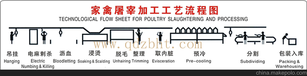 家禽屠宰流水線示意圖