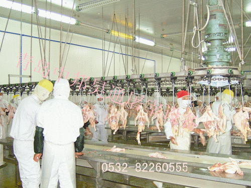 胴體加工輸送線