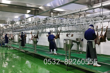 胴體加工輸送線