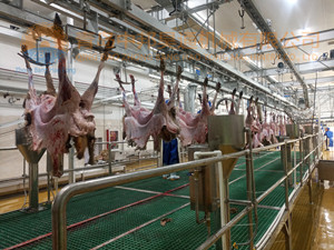 羊屠宰機械-預剝皮